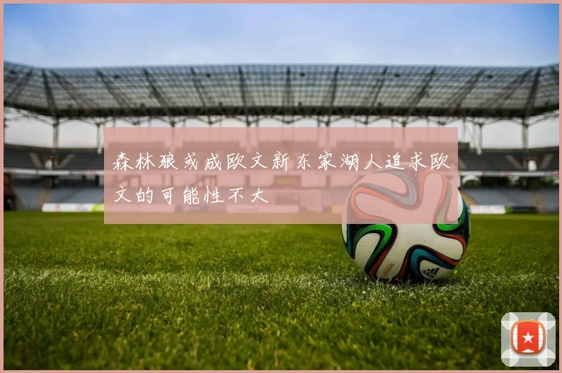 森林狼或成欧文新东家湖人追求欧文的可能性不大