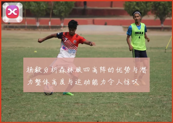 杨毅分析森林狼四高阵的优势与潜力整体高度与运动能力令人惊叹